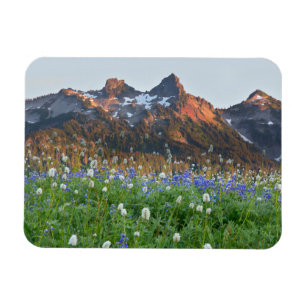 Íman Variação de Tatoosh e flores selvagens Mt. Raini