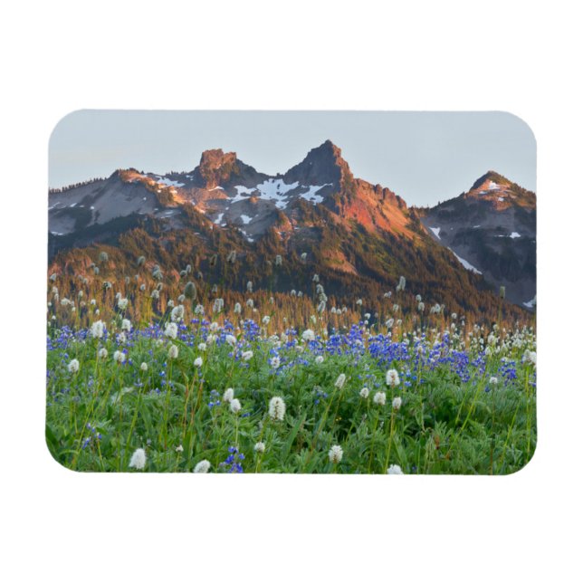 Íman Variação de Tatoosh e flores selvagens | Mt. Raini (Horizontal)