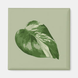 Íman Variegated Monstera Albo Magnet