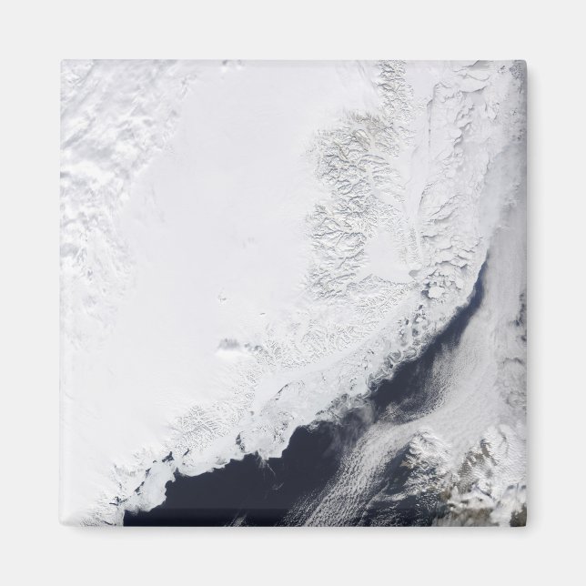 Íman Vários tipos de gelo marinho (Frente)