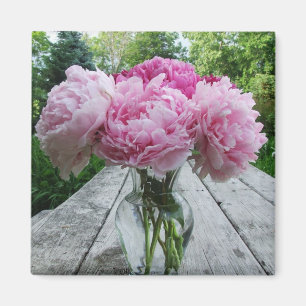 Íman Vaso do ímã quadrado das peônias cor-de-rosa