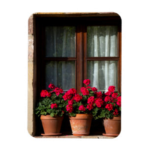 Íman Vasos de flores na janela da aldeia