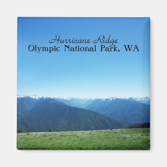 Íman Veado e Jogos Olímpicos (Frente)