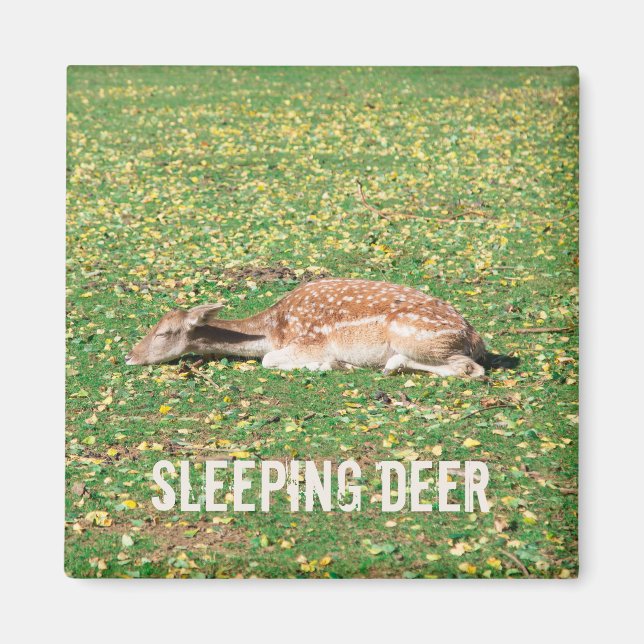 Íman Vedante em hibernação no outono no prado (Frente)