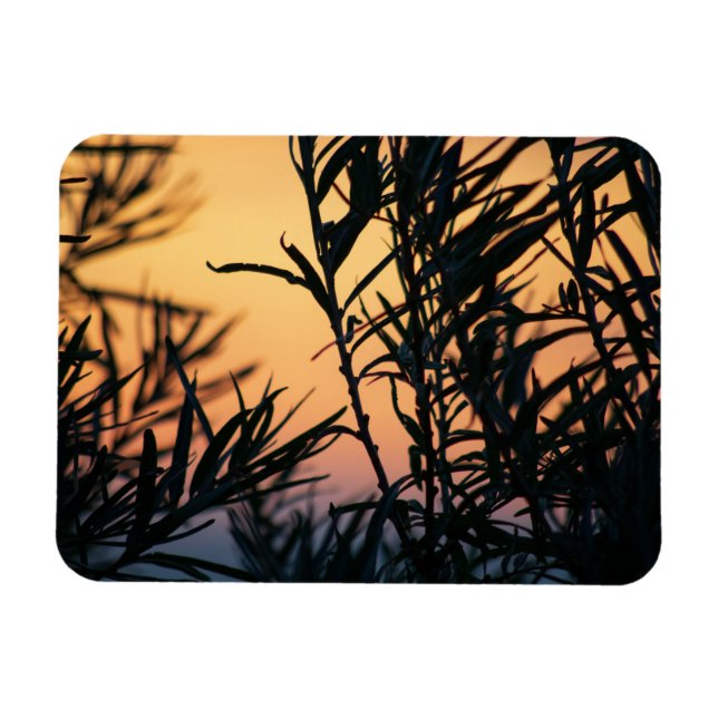 Íman Vegetação no pôr do sol (Horizontal)