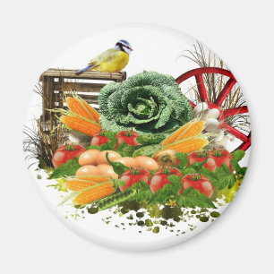 Íman Vegetal e ovos