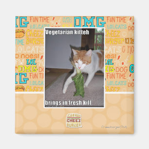 Íman Vegetariano Kitteh