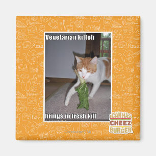 Íman Vegetariano Kitteh