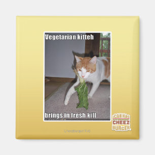 Íman Vegetariano Kitteh