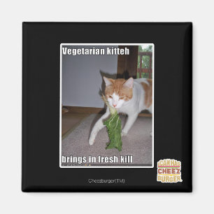 Íman Vegetariano Kitteh