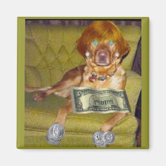 ÍMAN VEJA O QUE EU FAÇO PELO MONEY MAGNET