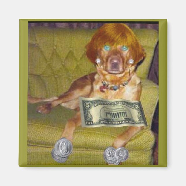 ÍMAN VEJA O QUE EU FAÇO PELO MONEY MAGNET (Frente)