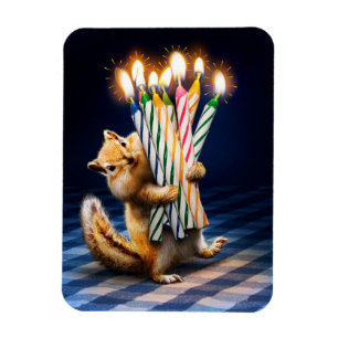 Íman Velas de Aniversário de Esquilo