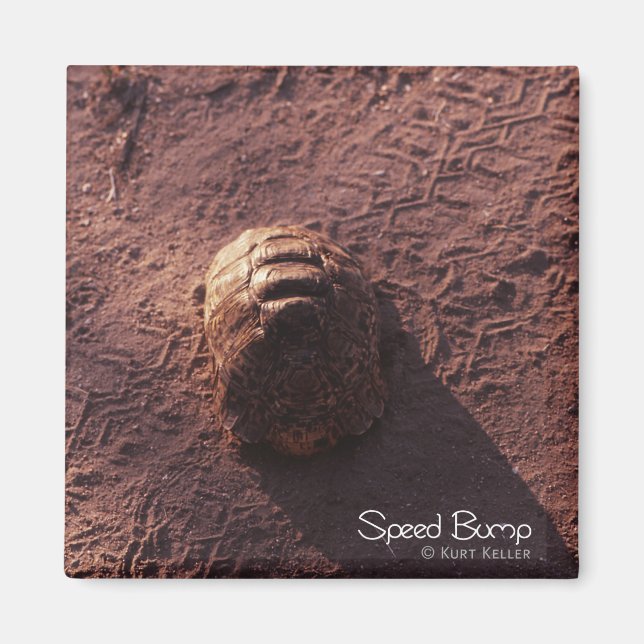 Íman Velocidade (Frente)