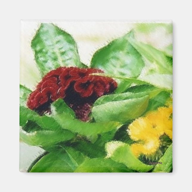Íman Velvet Floral (Frente)