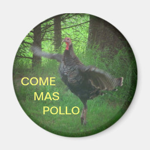 Íman Vem o Mas Pollo Turquia engraçada