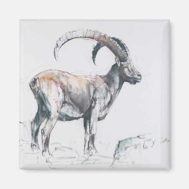 Íman Venerando Stambecco 2006 (Frente)