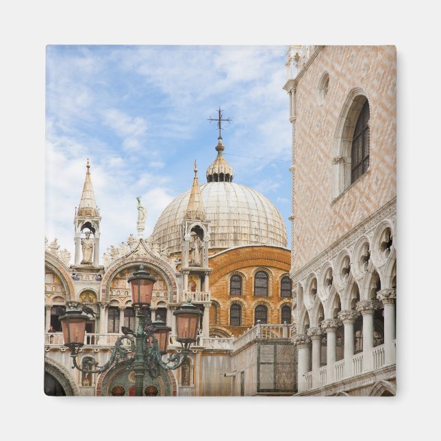 Íman Veneza, Veneto, Itália - As aves estão empobrecida (Frente)