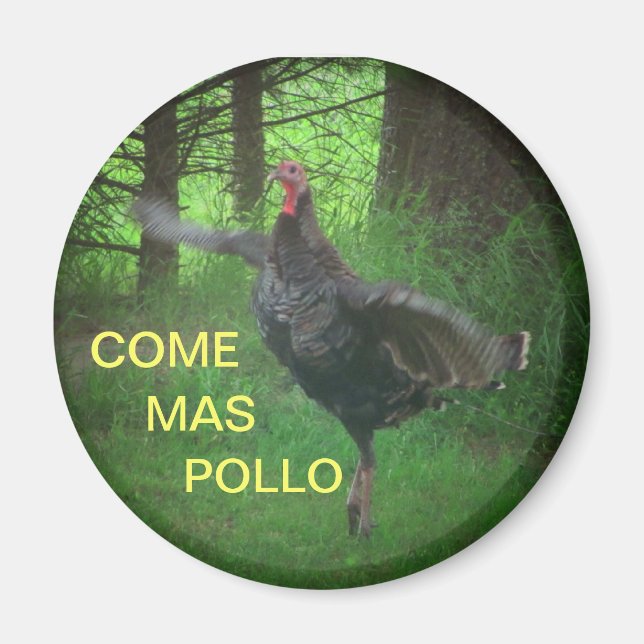 Íman Venha Mas Pollo Engraçado Turquia (Frente)