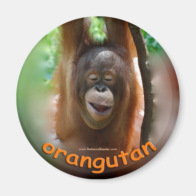 Íman Ventilador Oficial Orangutan (Frente)