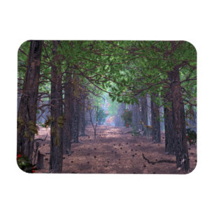 Íman Vento no ímã flexível dos pinheiros