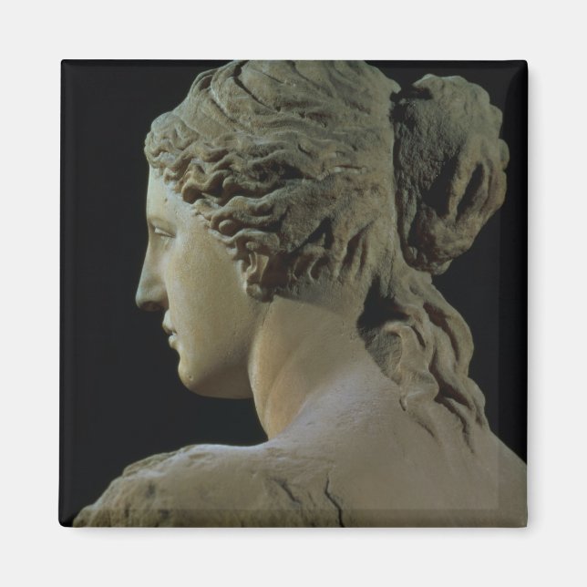 Íman Vênus de Milo, detalhe da parte de trás da cabeça, (Frente)