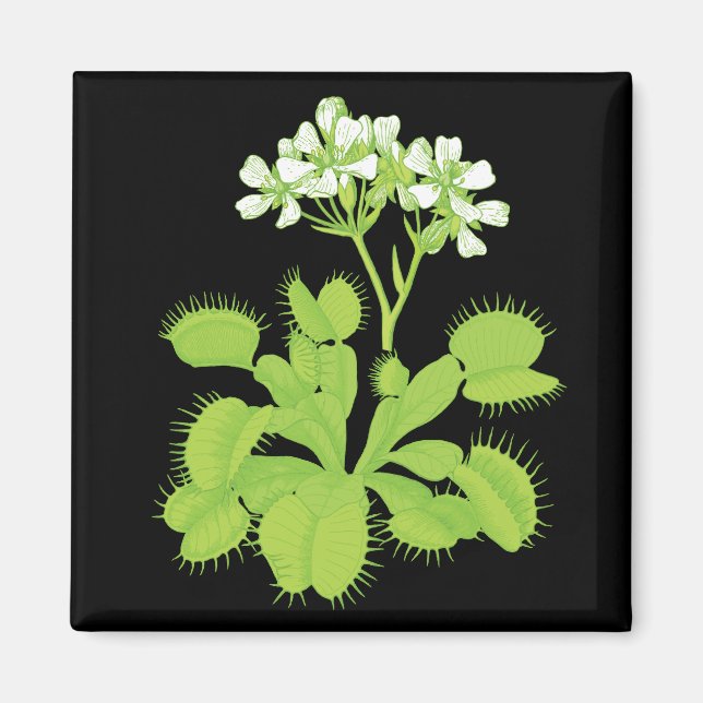 Íman Venus Flytrap Magnet (Frente)