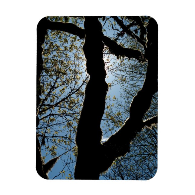 ÍMAN  VER (Vertical)