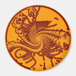 Íman Ver fóssil. 2