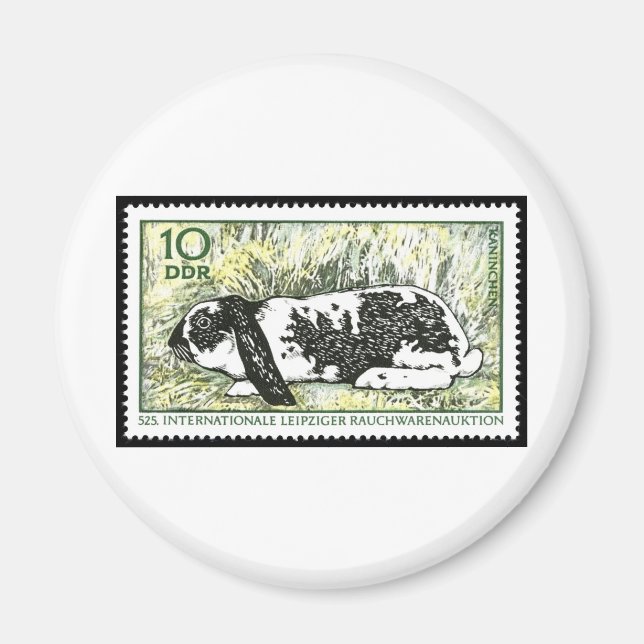 Íman Ver Salto à vista (Frente)