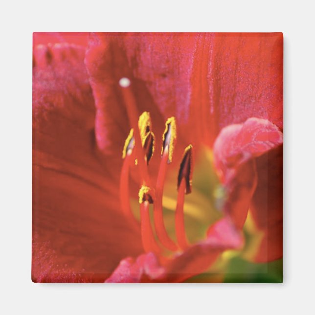 Íman Ver vermelho (Frente)