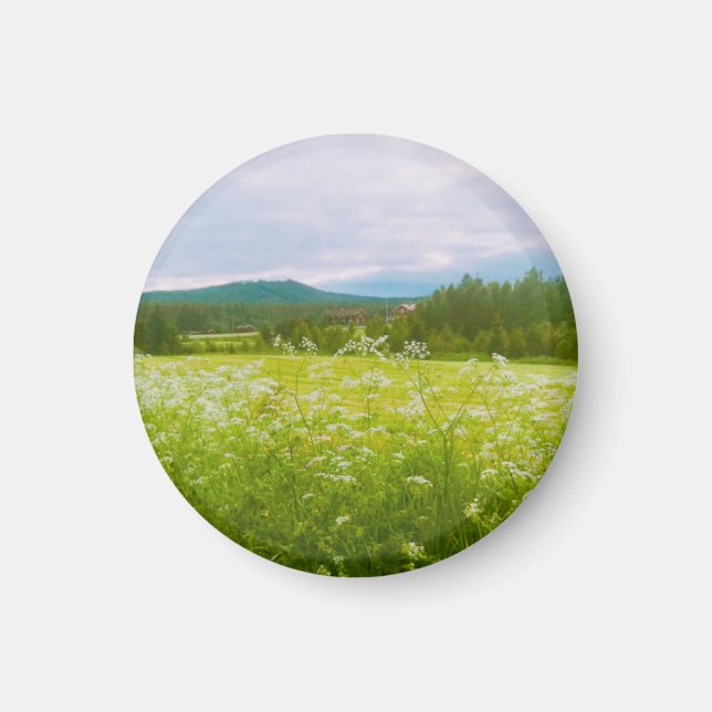 Íman Verão em Hälsingland - Helsingia  (Frente)