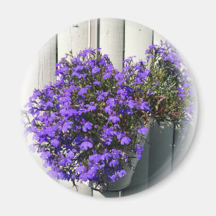 Íman Verbena Magnet