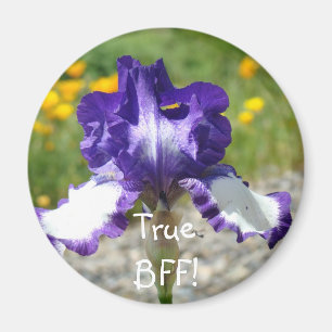 Íman Verdadeiro BFF! ímã presentes Flor de Íris Roxa ím