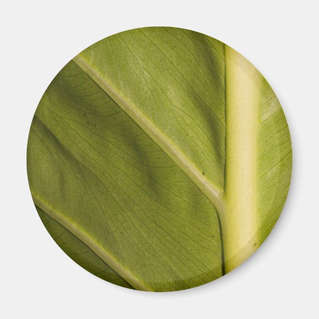 Íman Verde 01 (Frente)