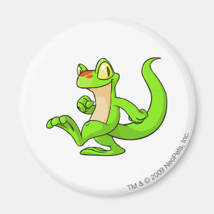 Íman Verde de Techo