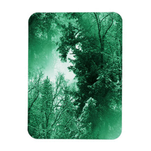Íman Verde do inverno…