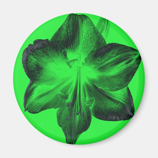 Íman Verde Escuro sobre o Amaryllis Verde Claro (Frente)