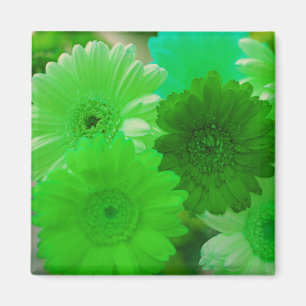 Íman Verde Gerbera Daisy Flowers Refrigerator Magnets