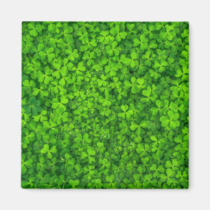 Íman verde trevo, Dia de São Patrício,