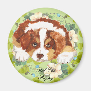 Íman Verde vermelho do ~ do filhote de cachorro do