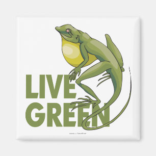 Íman Verde vivo
