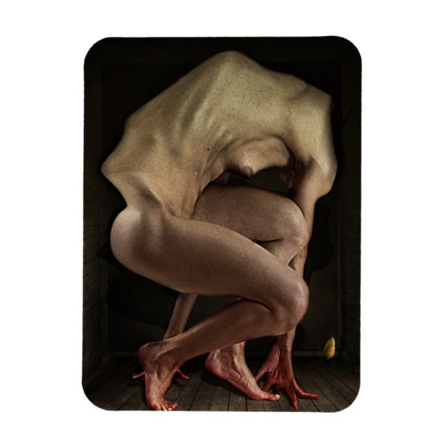 Íman Vergonha 2012 (Vertical)