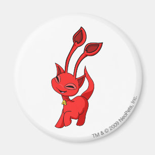 Íman Vermelho de Aisha