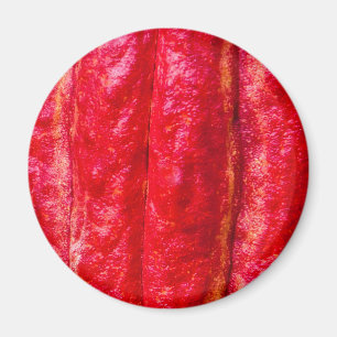 Íman vermelho de cacau