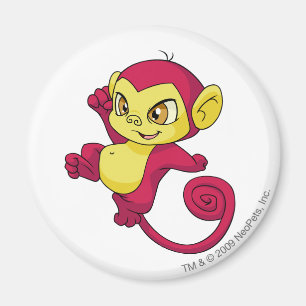 Íman Vermelho de Mynci