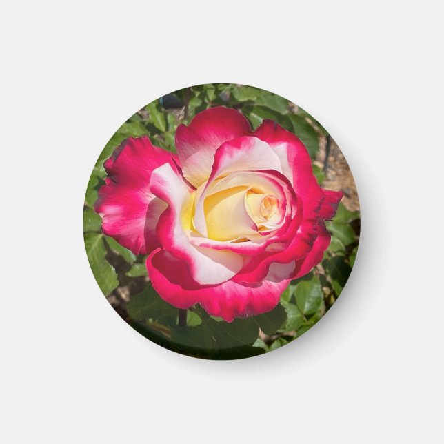 Íman Vermelho e Amarelo (Frente)