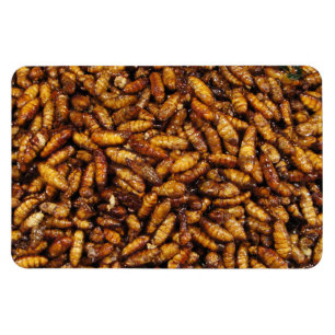 Íman Vermes de Seda Secos... Comida da Rua Tailandesa