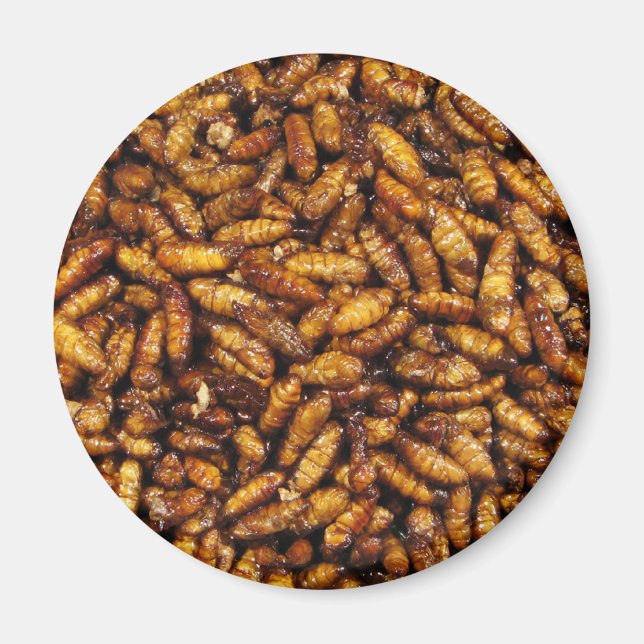 Íman Vermes de Seda Secos... Comida da Rua Tailandesa (Frente)