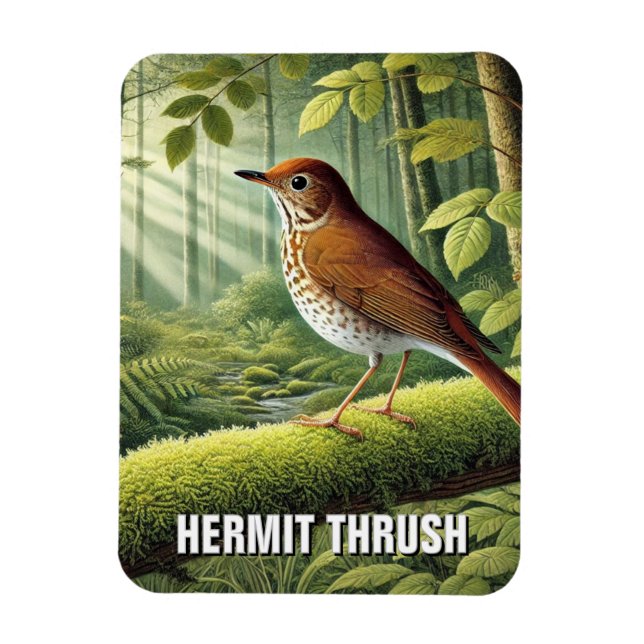 Íman Vermont State Bird Hermit Thrush (Vertical)